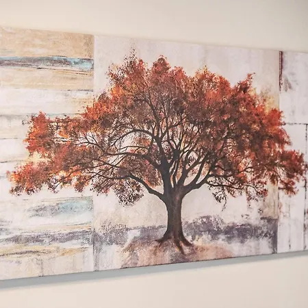 Terra Apartamento